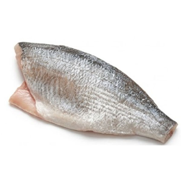 Orada filet